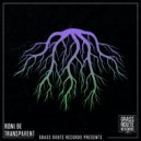 Roni Be - Transparent