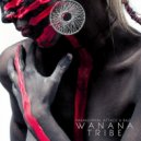 Paranormal Attack & RAZ - Wanana Tribe (Original Mix)