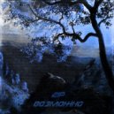 2IP - Возможно