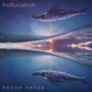 hollucation - Песни Китов
