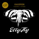 Kaudron - Esengo (PP DIAZ Remix)