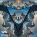 Timsek - Corporate (Original Mix)