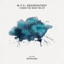 M.F.S: Observatory - I Cant Imagine The Future
