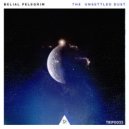 Belial Pelegrim - Inquest