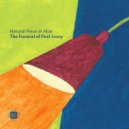 Natural Piece of Aloe - The Funeral of Post-Irony (Scape One Remix)