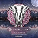 Henrique Camacho, Hush - Drugs