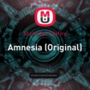 Stanislav Stafire - Amnesia (Original)