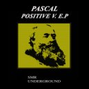 Pascal - Positive V (Original mix)