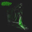 SXRCXRXR - Антидот ()