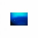 Mindfulness Healing BGM Project - Venus and Life