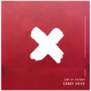 Lady of Victory - House Skin (Original Mix)