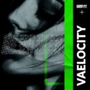 Vaelocity - Say The Truth (Original Mix)