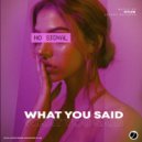 Icylow - What You Said