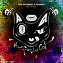Tom Different & Homeboy - Balkadelic