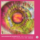 BrandNewTrumpets - Smile & Disable (Original Mix)