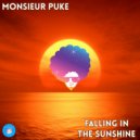 Monsieur Puke - Falling In The Sunshine (Original Mix)