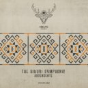 The Hikuri Symphonic - Tercer Plano