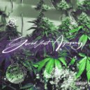 YAROK & AQUAPONY - ты красива (prod. by YUNG SWTY)