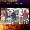 Udzundza Nenkhali Zebhosa - Ingwenya Emabuyeni (Original Mix)