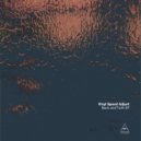 Vinyl speed adjust - Blue Notes