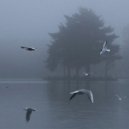 semmmyq & shinra - untitled