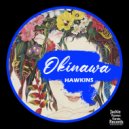 Hawkins - Temple Dunt
