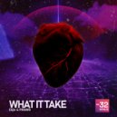 PIRAMD & Elijix - What It Take (Original Mix)