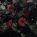 iidontknowwhyilive - empty image ()