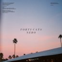 Forty Cats - One Day Story