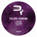 Felipe Santini - On Fire (Original Mix)