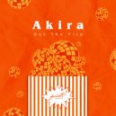 AKIRA - Out The Fire (DJ TinTin Remix)