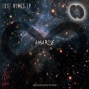 Amarox - Lost Wings
