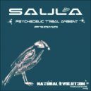 Saula - Free Energy