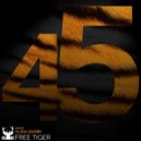 Vlada Asanin - Free Tiger (Radio Mix)
