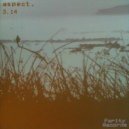 aspect. - 3.14