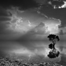 Light Beyond Life - Solitude