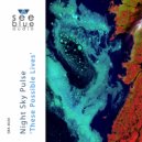 Night Sky Pulse - Night Film (Original Mix)