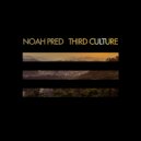 Noah Pred - Ends Unmet