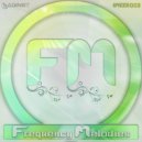 Saginet - Frequency Melodies 003
