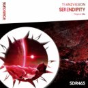 Tranzvission - Serendipity