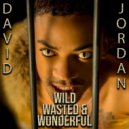 David Jordan - Wild, Wasted, & Wonderful ()