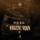 PabloSA & Ceechris - Xibelani (Afro Mix)