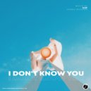 AlaX - I Don\'t Know You (Original Mix)