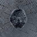 PFROPF - Ancient Noise