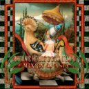 AB - ORGANIC HOUSE & DOWNTEMPO MIX BY DJ ASIA ()