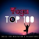 Shanti Chakra Friends - Zen Nation