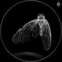 Ciclus - Voar