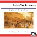 Radio Symphony Orchestra Ljubljana - Symphony No. 7 in A Major, Op. 92: Finale - Allegro con brio