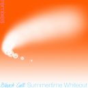 Bleach Cult - Acid Shades (Black Feeling Remix)