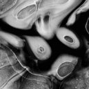 Robert Hoff - Biochemistry II (Original Mix)